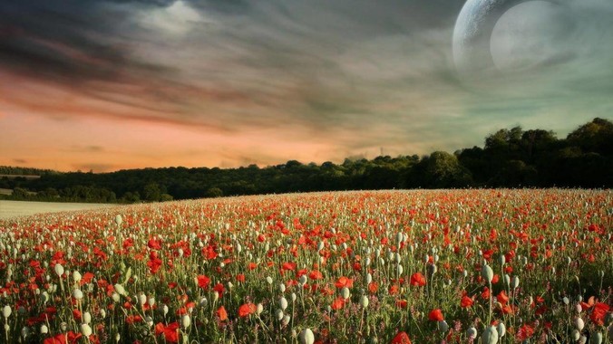 能不能在FPS游戏里放一些隐身单位用来反***,谁能锁到就说明开挂了?